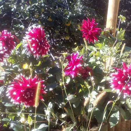 カントリーハウス Casa Villamana Oto