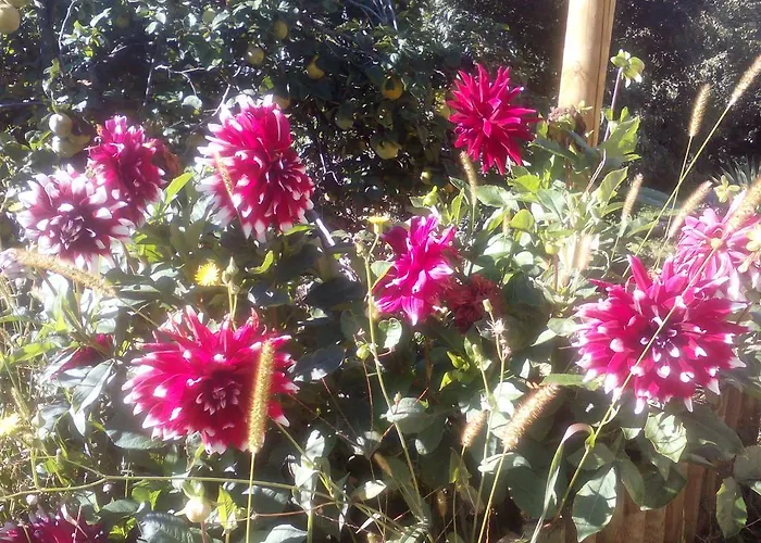 Casa di campagna Casa Villamana Oto